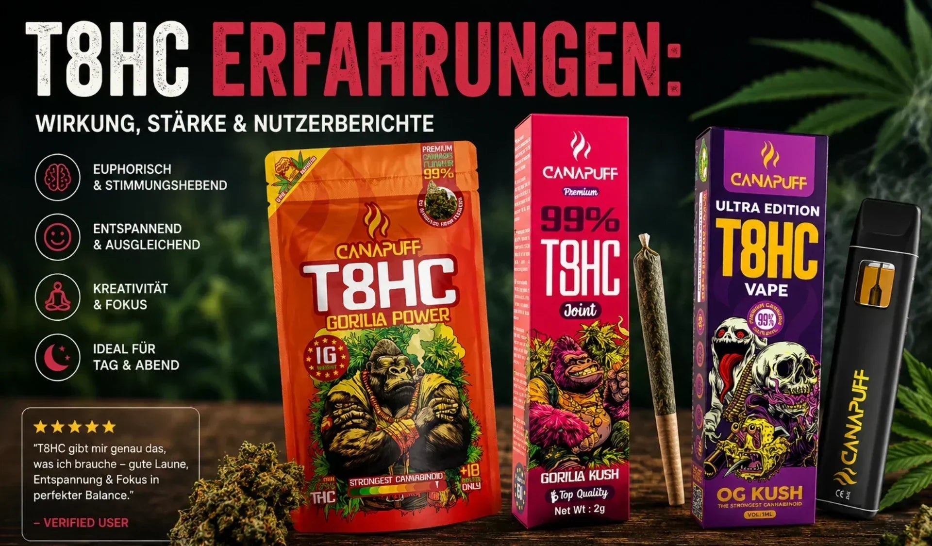 T8HC Erfahrungen 