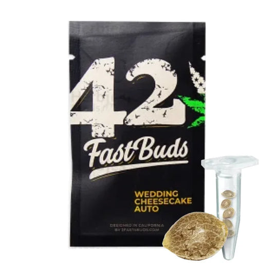 Wedding Cheesecake Auto Samen | 42 Fast Buds