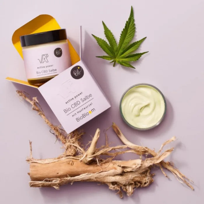 BioBloom Bio CBD Salbe active power, offener Tiegel mit cremiger Salbe, Faltschachtel, Hanfblatt und Hanfwurzel auf lila Hintergrund