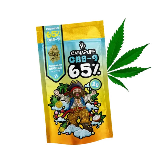 Caribbean Breeze CBG9 Blüten günstig kaufen 