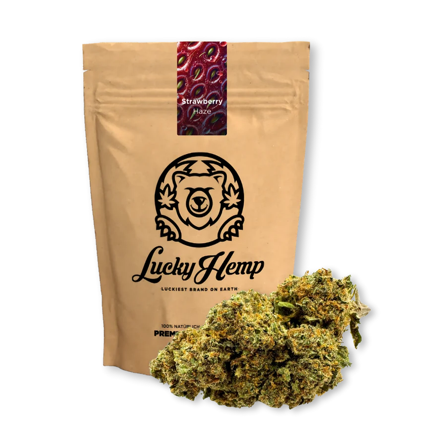 Lucky Hemp Ökopack CBD Blüten Strawberry Haze mit Blüten im Vordergrund