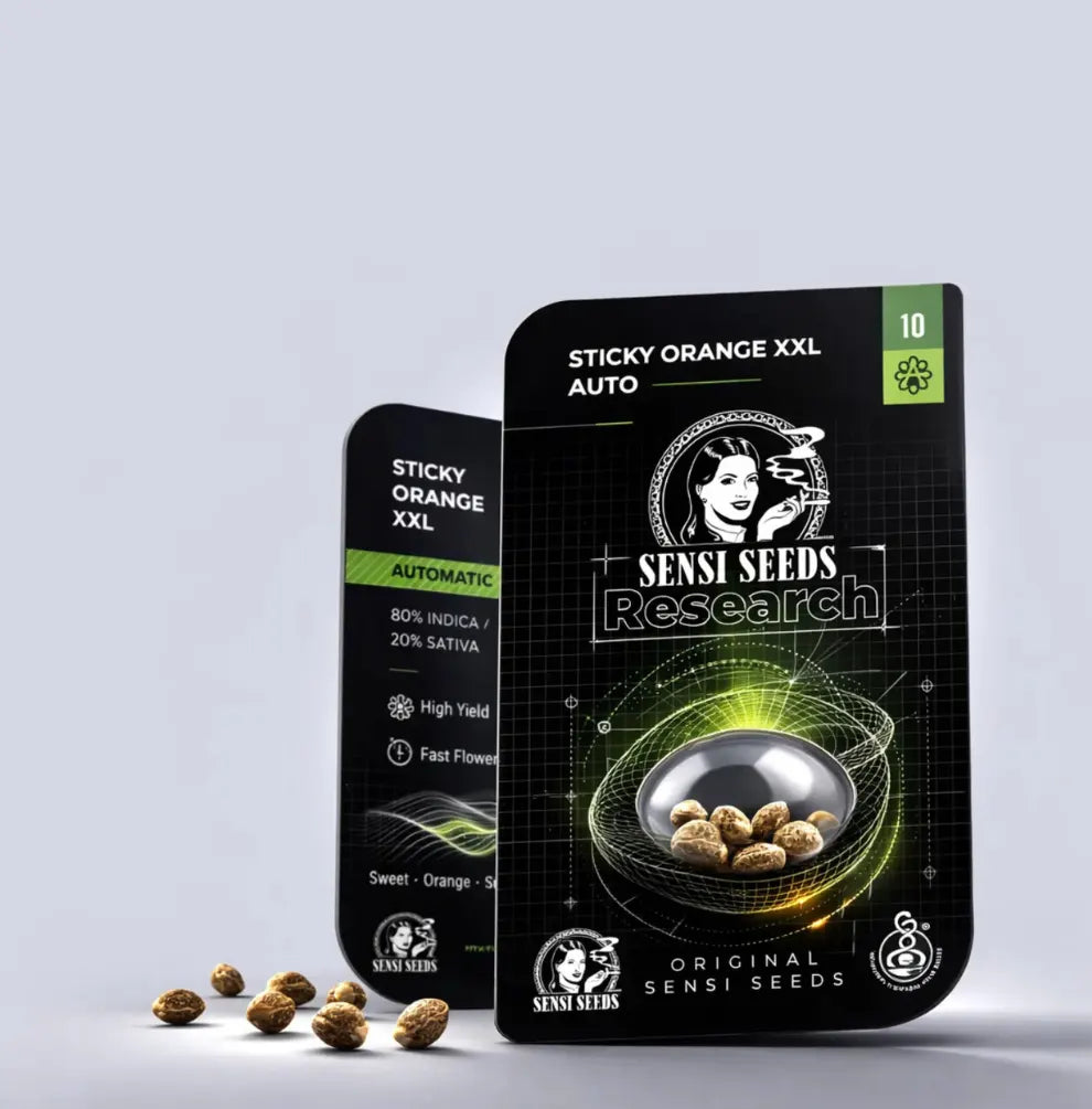 Sensi Seeds Sticky Orange XXL Auto doppel Verpackung mit Samen