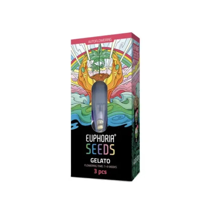 Euphoria Seeds Gelato Autoflower Samen, Verpackung mit 3 Samen und 7 bis 9 Wochen Blütezeit