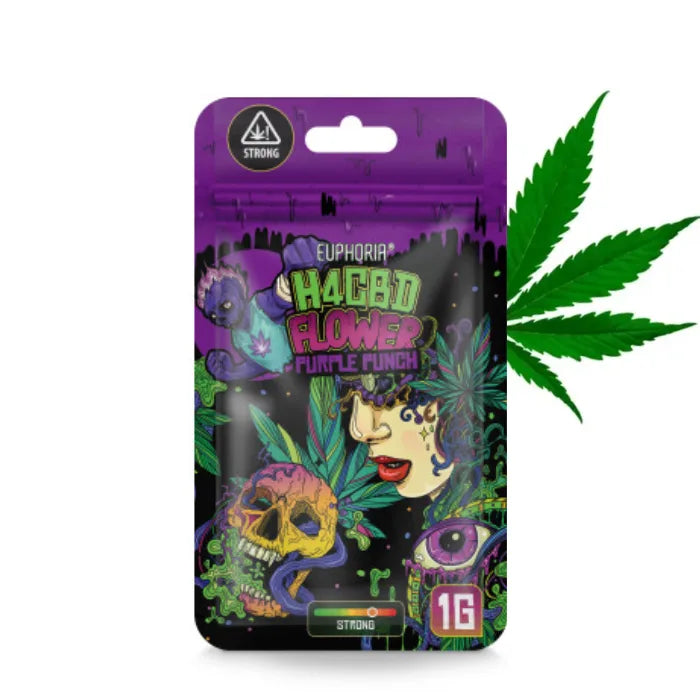 Euphoria H4CBD Blüten Purple Punch 40%, 1 g Packung