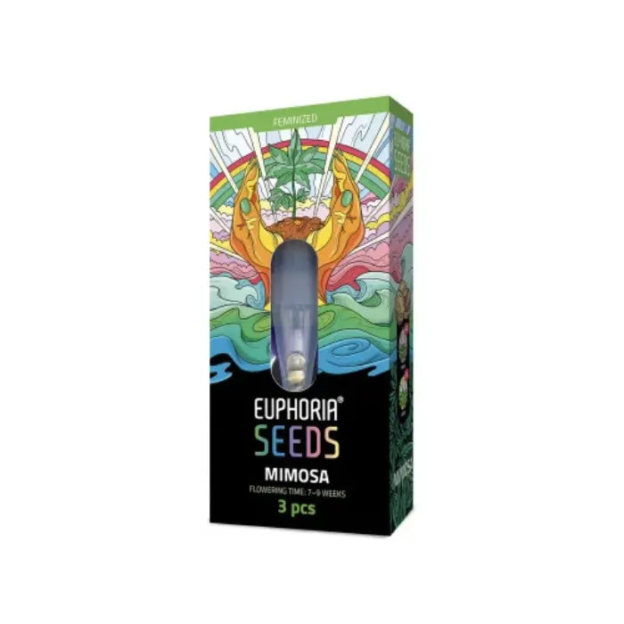 Euphoria Seeds Mimosa feminisierte Samen, Verpackung mit 3 Samen und 7 bis 9 Wochen Blütezeit
