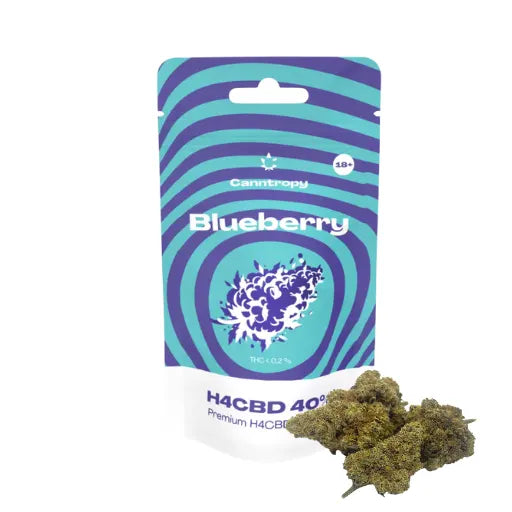 H4CBD Blüten