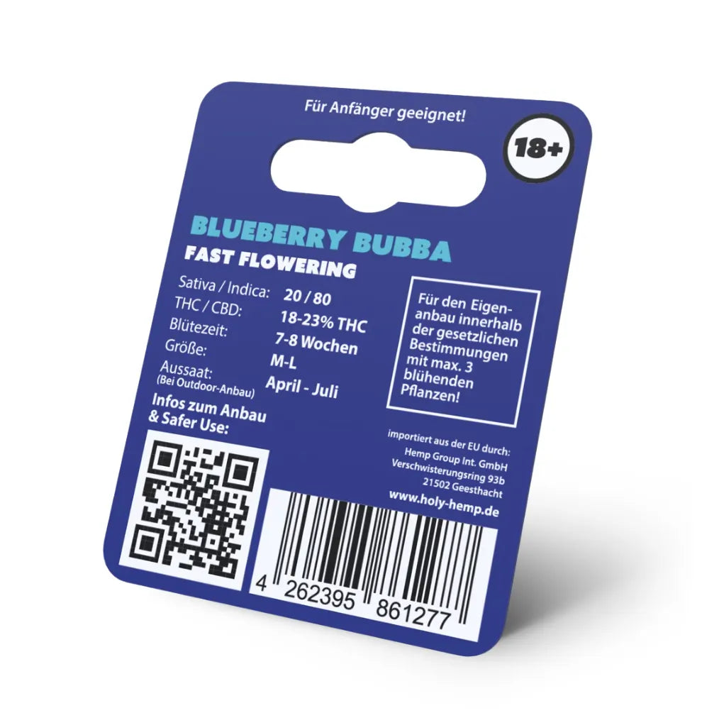 Holy Hemp Blueberry Bubba Fast Flowering Rückseite - 20/80 Sativa Indica, 7-8 Wochen Blütezeit, für Anfänger geeignet, 18+