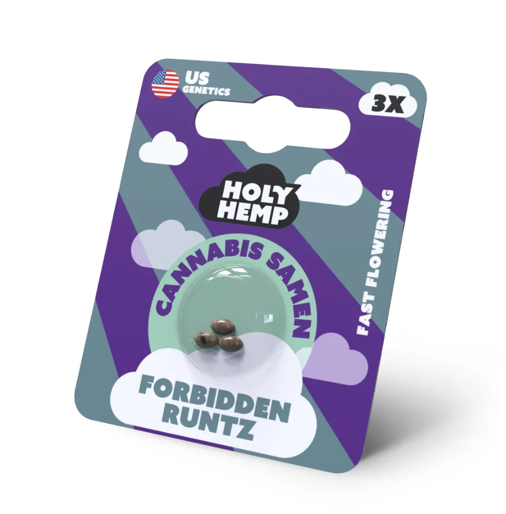 Holy Hemp Forbidden Runtz Fast Flowering Cannabis Samen – 3er Verpackung mit US Genetics, schnell blühende Hanfsamen