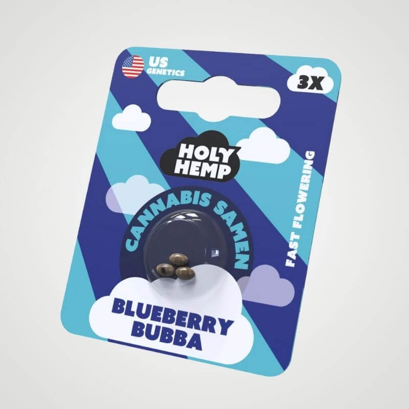 3 Stück Blueberry Bubba Feminisierte Cannabissamen von Holy Hemp in blauer Verpackung