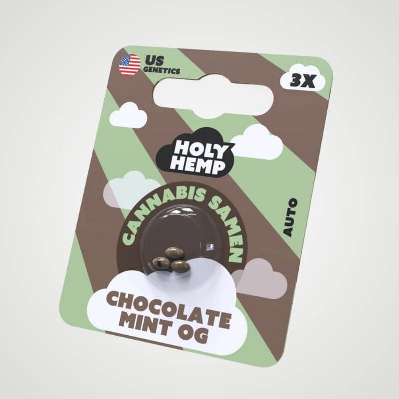 Chocolate Mint OG – Feminisierte Cannabissamen von Holy Hemp