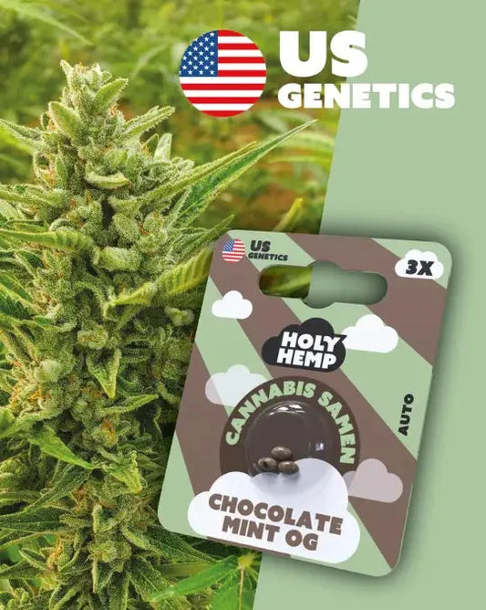 Chocolate Mint OG Cannabis Samen kaufen - Cali Seeds