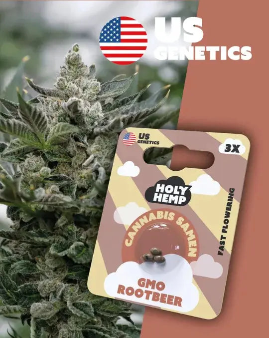 GMO Rootbeer Fast-Flowering, feminisierte Cannabis-Samen (Cali Seeds) | KANNOBA