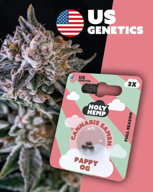 Pappy OG Cannabis Samen kaufen - Full Season Indica