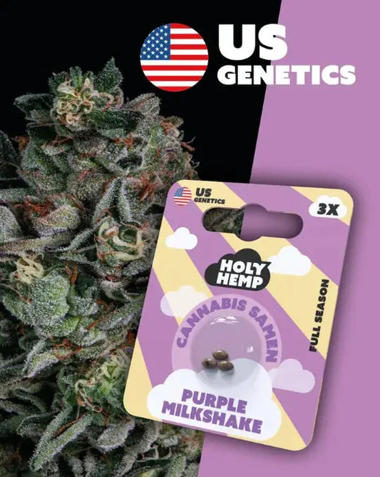Purple Milkshake - Cannabis Samen (Cali Seeds) | Full-Season 15 - 20% THC
