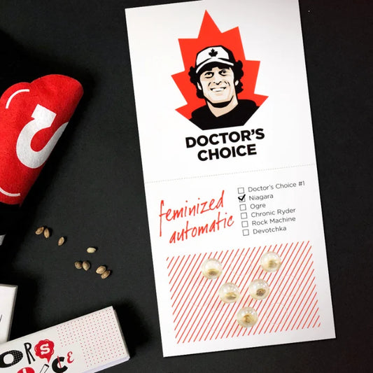 Niagara Auto feminisierte Autoflower Samen auf Samenkarte von Doctor's Choice mit Niagara angekreuzt