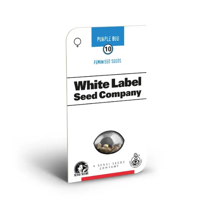 White Label Purple Bud Feminisiert Cannabissamen Verpackung 10 Samen Sensi Seeds