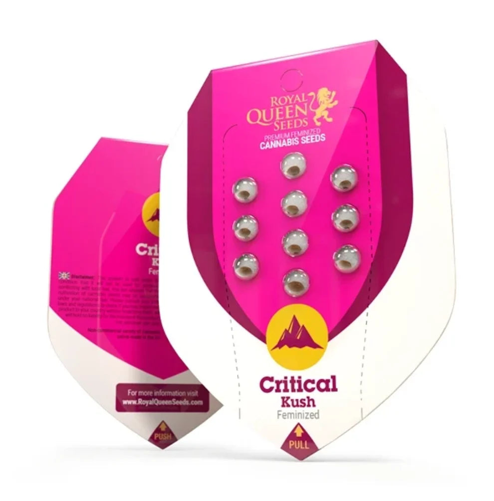 Royal Queen Seeds Critical Kush Feminisiert – Cannabis Samen Verpackung 10 Samen