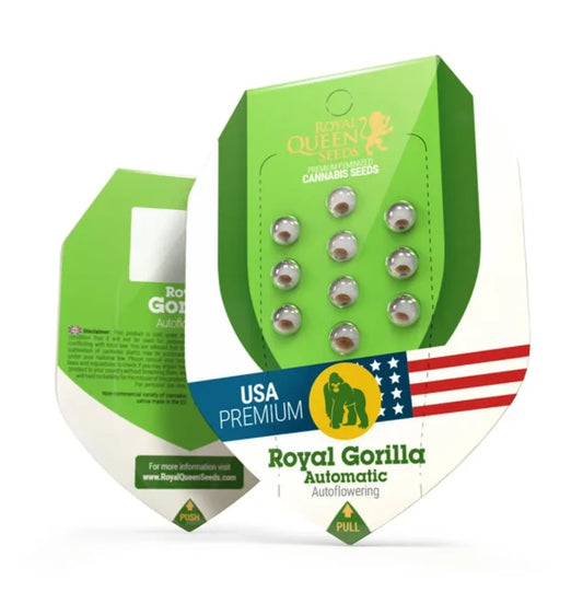 Royal Gorilla Automatic Hanfsamen Verpackung - Royal Queen Seeds, USA Premium, Autoflowering, 10 Samen sichtbar
