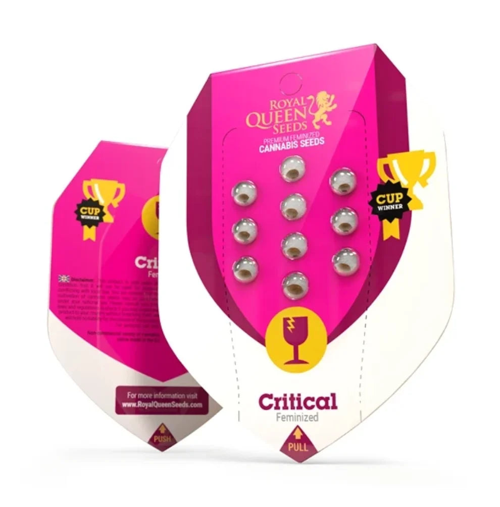 Royal Queen Seeds Critical Samen Verpackung pink Cup Winner feminisiert kaufen