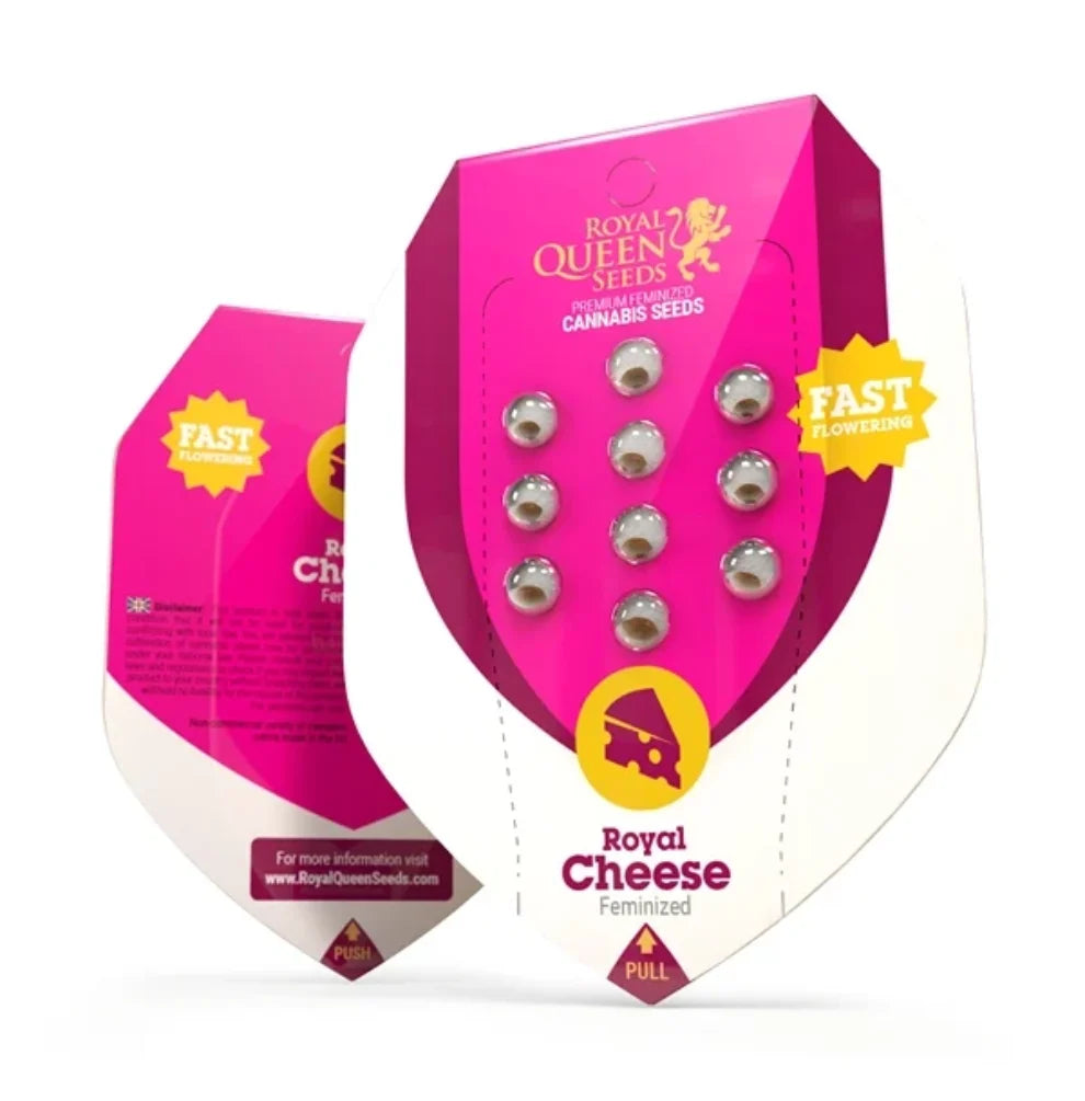 Royal Queen Seeds Royal Cheese Fast Flowering Samen Verpackung pink feminisiert