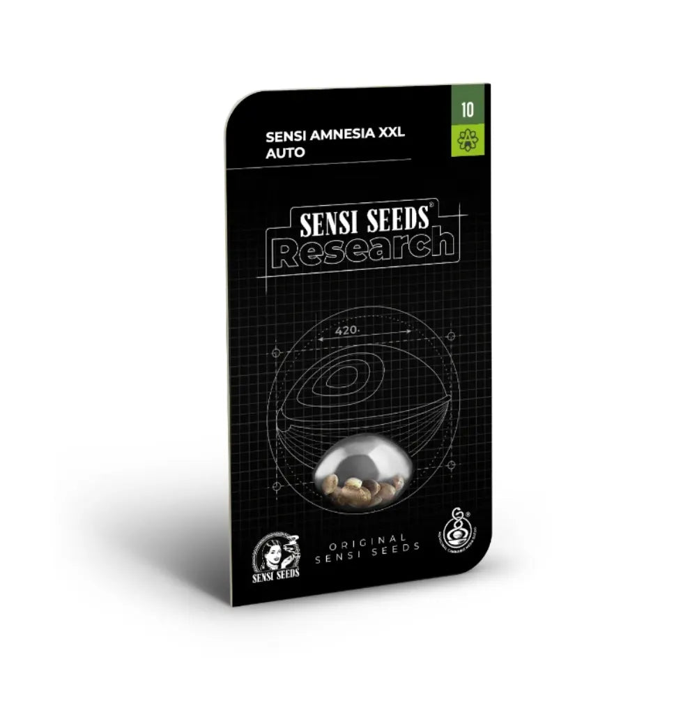 Sensi Seeds Amnesia XXL Automatic Hanfsamen feminisiert Autoflower Sativa Backcross KANNOBA