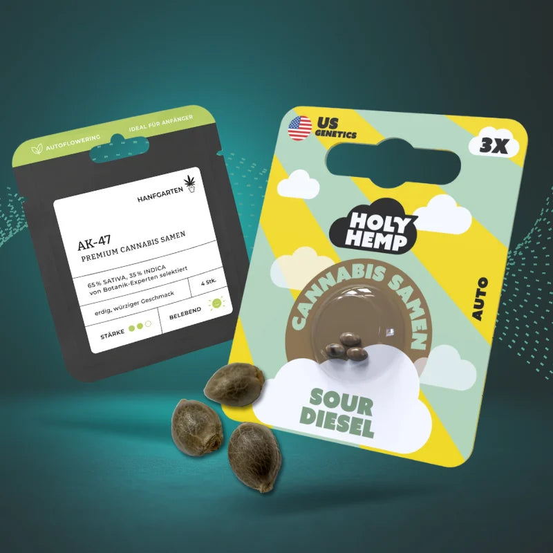 Cannabis Samen online kaufen